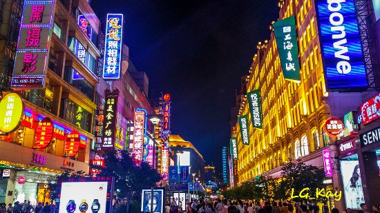 ⑤ Panoramic Tour in Shanghai (Private Vehicle)