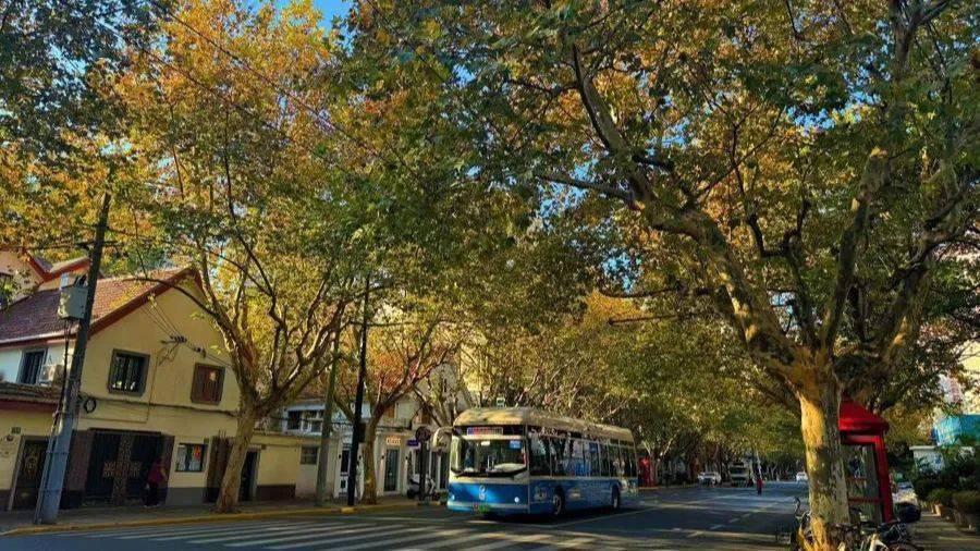 ⑥ Old Town Day Tour (Public transport)